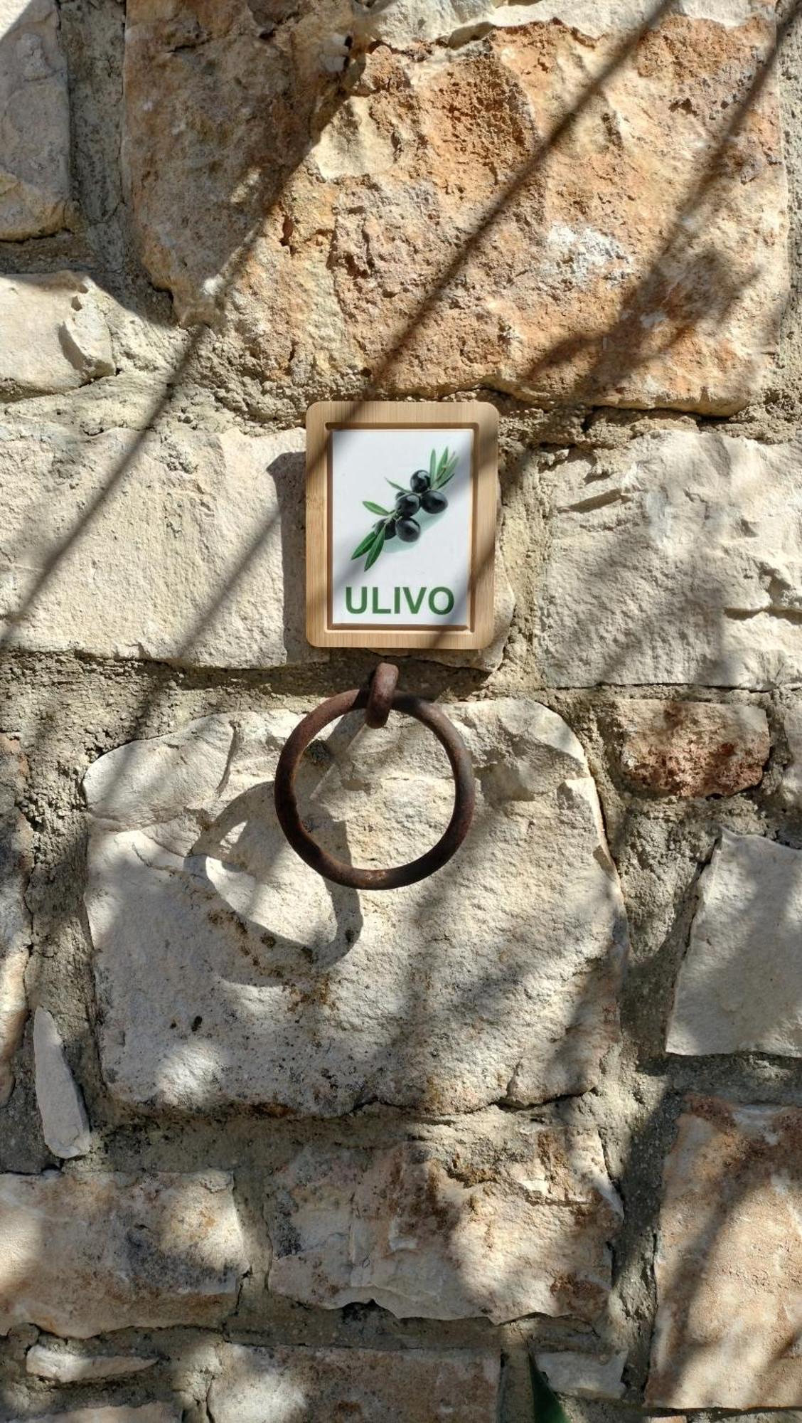 Oasi di Campagna luxury rooms Modica Bagian luar foto